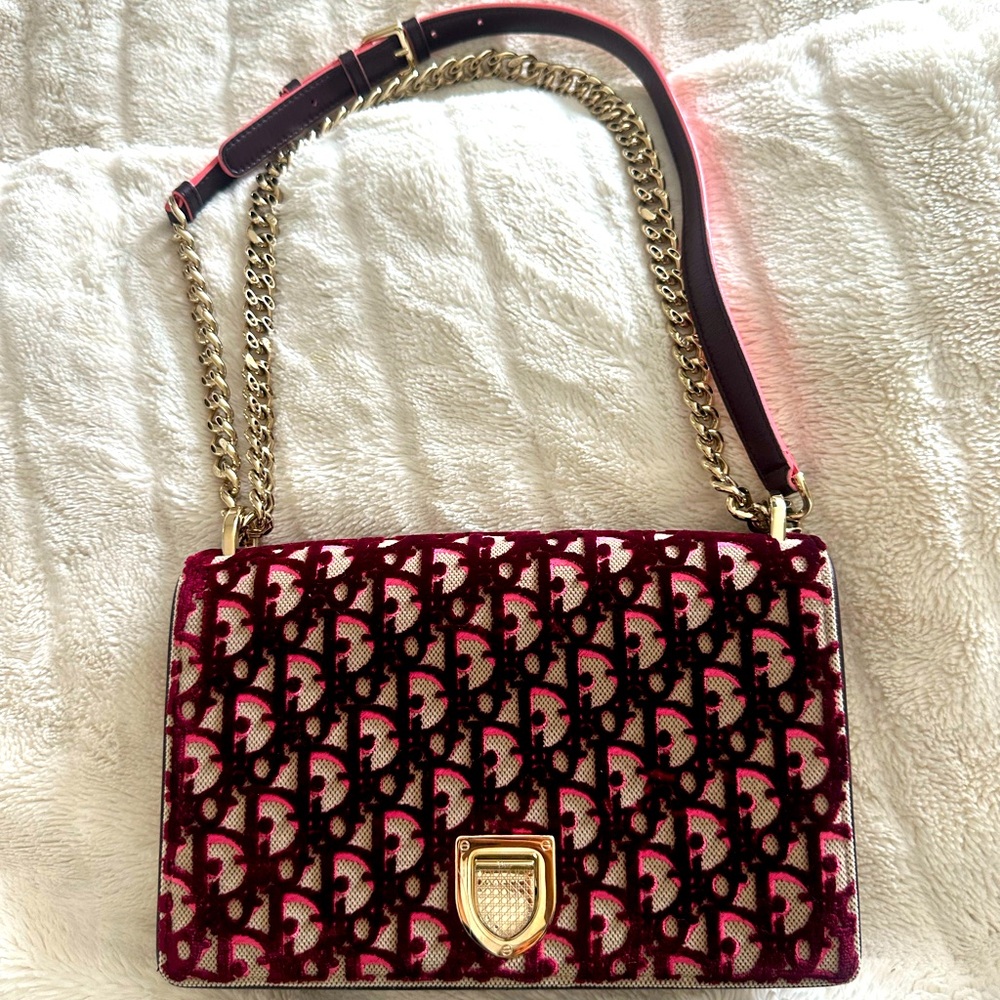 Dior Purse : Diorama